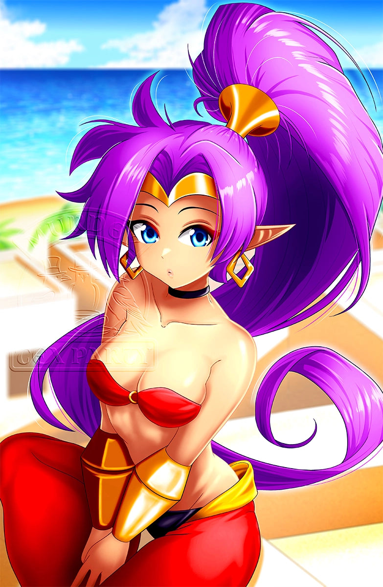 Shantae Sitting Print